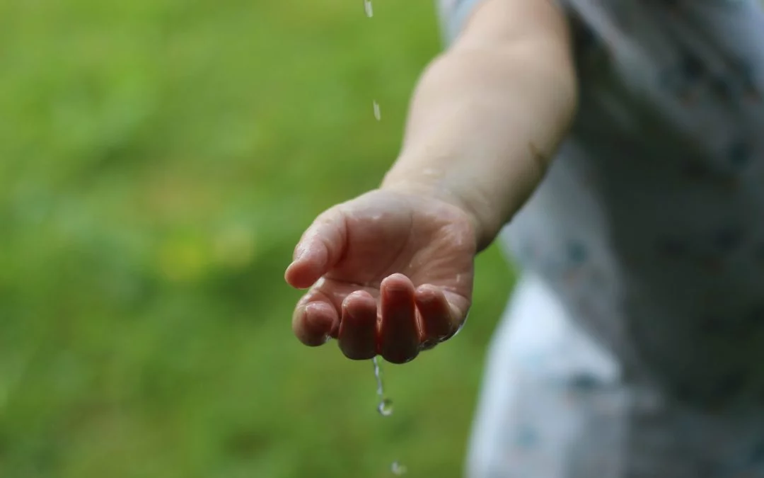 How can we give back to the Earth what it has so generously offered to us?