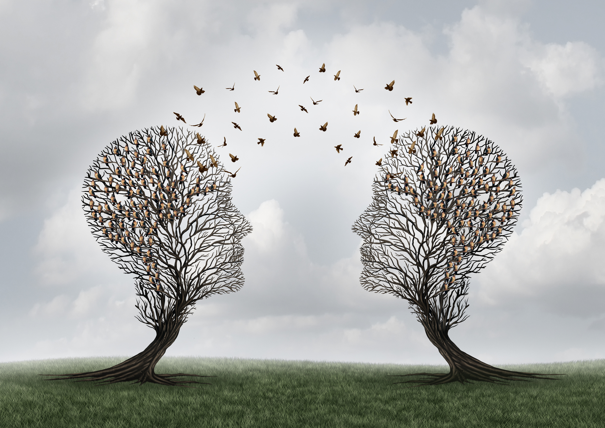 Concept de communication et de communication d'un message entre deux arbres en forme de têtes avec des oiseaux perchés et volant l'un vers l'autre comme métaphore des relations personnelles