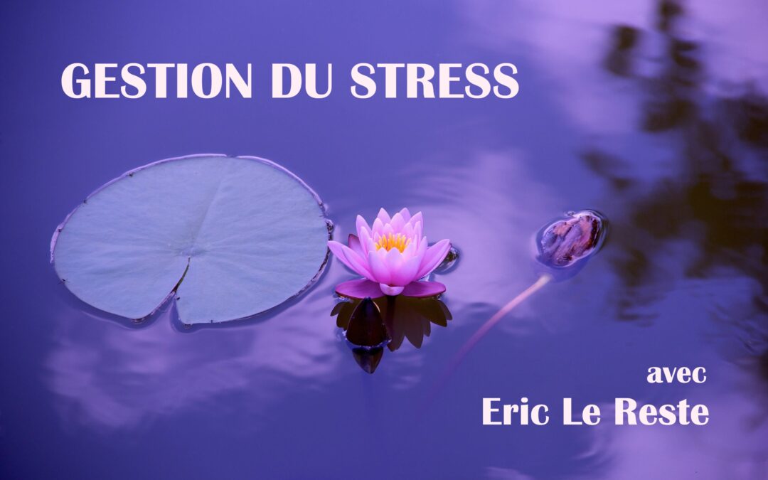 Les conférences du mercredi