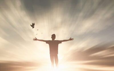 Free from Worries