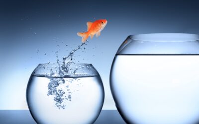 La vie ne vous arrive pas ; elle vous répond