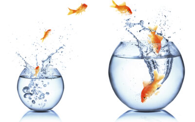 DEVELOPING INNER RESILIENCE